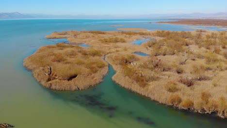 Natürlicher-Lebensraum-Für-Zugvögel-Mit-Unberührter-Flacher-Lagune,-Die-Trockenes-Schilf-Am-Ufer-Eines-Sees-Mit-Klarem-Wasser-Wäscht