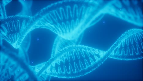 structure of the dna double helix animation