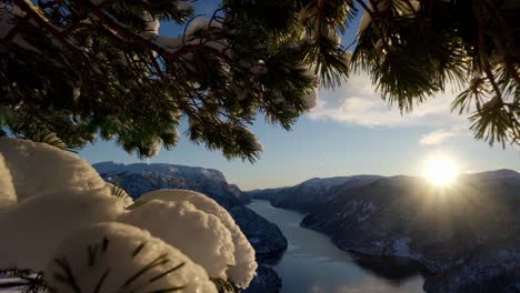 magical norway veafjord winter sunset framed by green pine branches, handheld slow motion