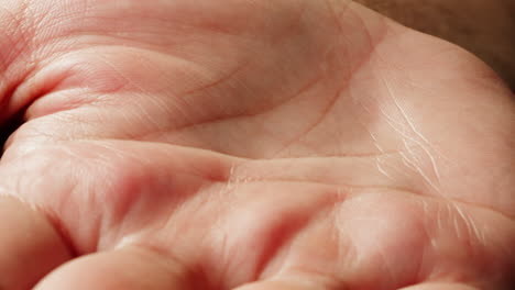 close-up of a human hand palm