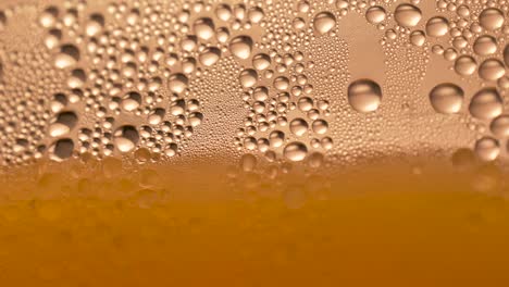 close up view of a glass of cold beer