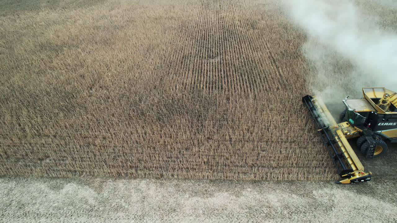 위스콘신에서는 소야 콩 수확을 절단하고 수집하는 조합이 있습니다.