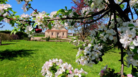 Hermosa-Casa-Solariega-De-Campo-En-Sol-De-Verano-Con-Plantas-Y-Naturaleza