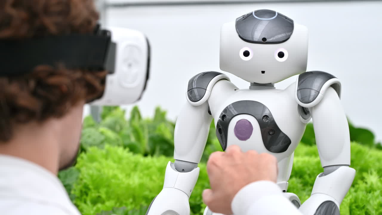 Laboratory technician in a white coat wearing virtual reality headset interacting with humanoid robot near different types of lettuce in a greenhouse farm