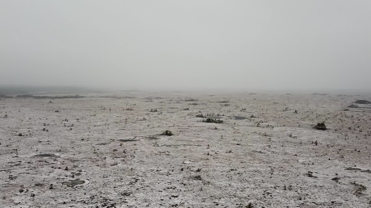 Aerial drone view of an empty large and wide bog field covered in snow