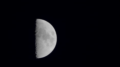 first quarter moon - half moon rising at the night sky