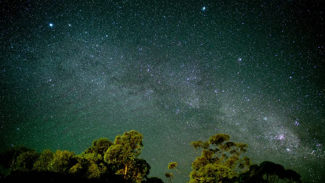 Starry night sky time lapse shot in the Australian Outback with Milky Way and Gumtrees in the foreground
