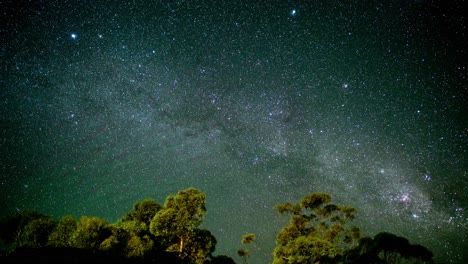 Zeitrafferaufnahme-Des-Sternenhimmels-Im-Australischen-Outback-Mit-Milchstraße-Und-Eukalyptusbäumen-Im-Vordergrund