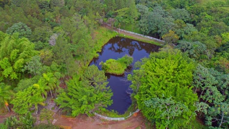 aerial drone shot of nature lake in wilderness with trees and rainforest of jarabacoa,dominican republic