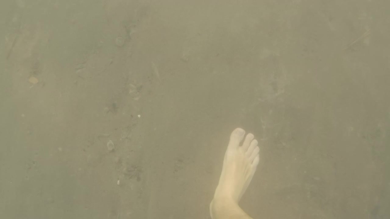 暗く濁った水をかき分けて進む人。堆積物を巻き上げ、泥だらけでぼやけた水生環境を作り出している。