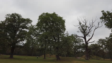 Borre-Mound-Friedhof-Sind-Alte-Grabhügel-Aus-Der-Wikingerzeit