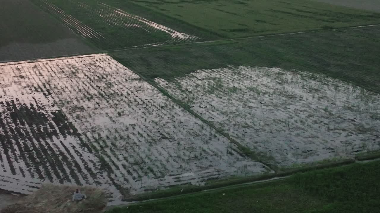 vista aérea del campo de arroz parcialmente inundado en punjab, pakistán