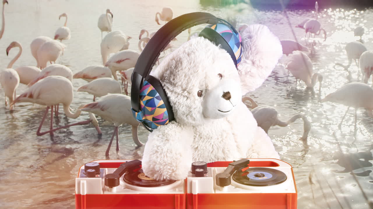 플라밍고와 함께 테디 베어 dj