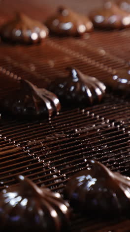 shining marshmallows in chocolate coating move along the conveyor belt. automated production of sweets at the factory. close up. vertical video