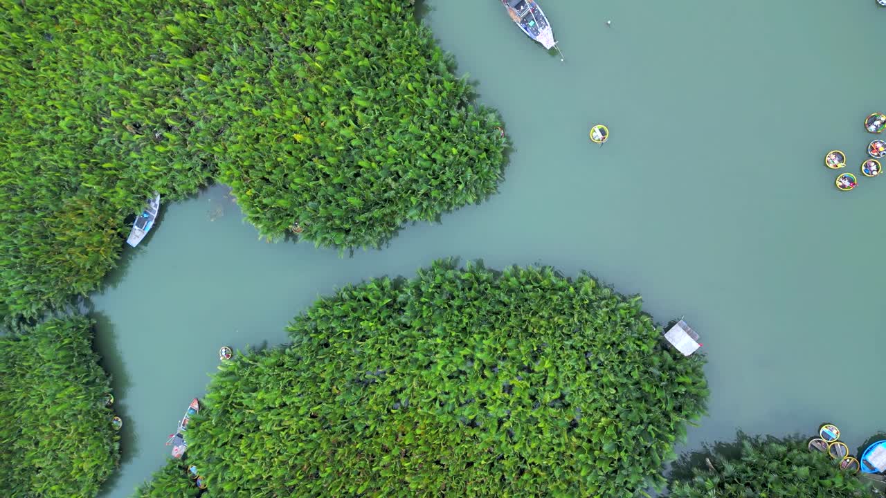 Tourists enjoying traditional coconut boat rides amidst the scenic in the Bay Mau Nipa palm forest in Hoi An, Vietnam, drone slow motion overhead shot