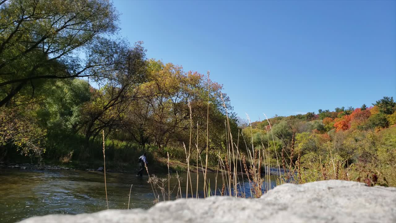 Afternoon in the fall by the river 4K