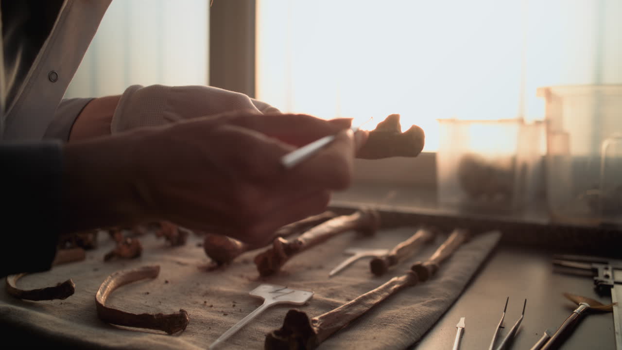 연구실에서 고대  조각을 조사하는 과학자