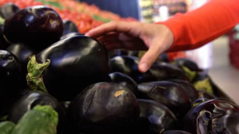 woman selecting brinjal from organic section