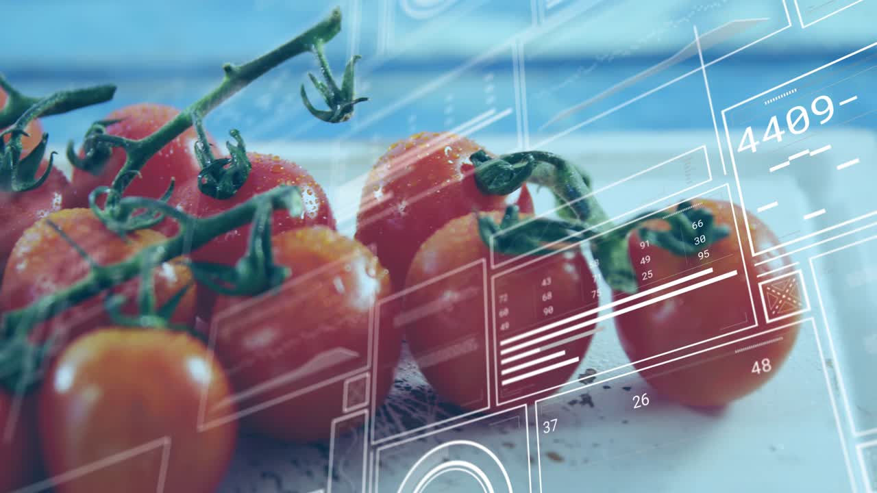 HUD overlays sliding in activating camera pan, vine tomatoes shifting focus, showing ripeness data