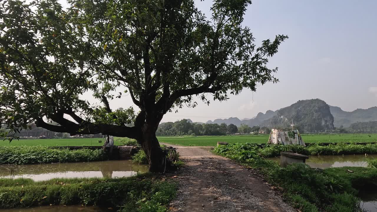 울창 한  들 을 가로질러 조용 한 산책