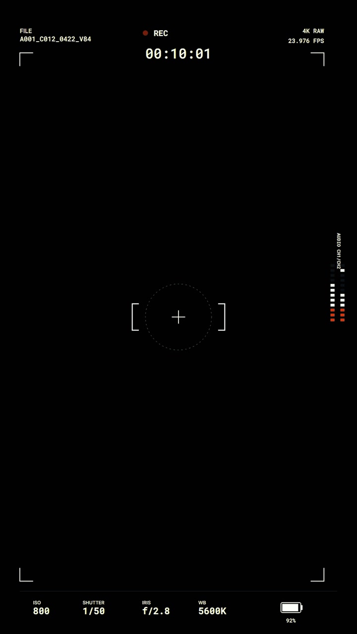 Digital Camera Recording Interface Overlay