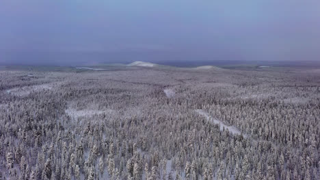 Drohnenüberflug-über-Verschneite-Wälder-Und-Sonnenbeschienene-Arktische-Wildnis,-Dunkler-Morgen-In-Lappland