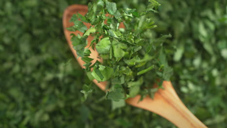 olive wood spoon with chopped parsley falling onto green herbs in slow motion