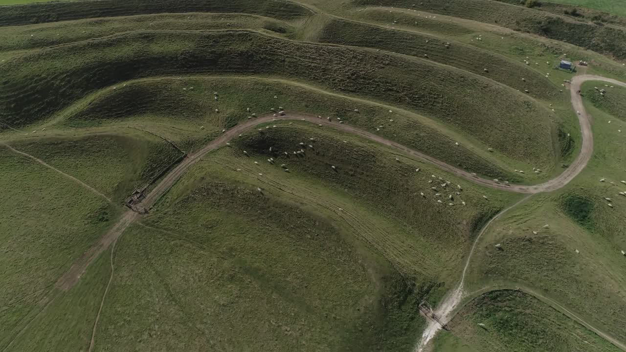 Aerial View of a Grassy Hill with Sheep