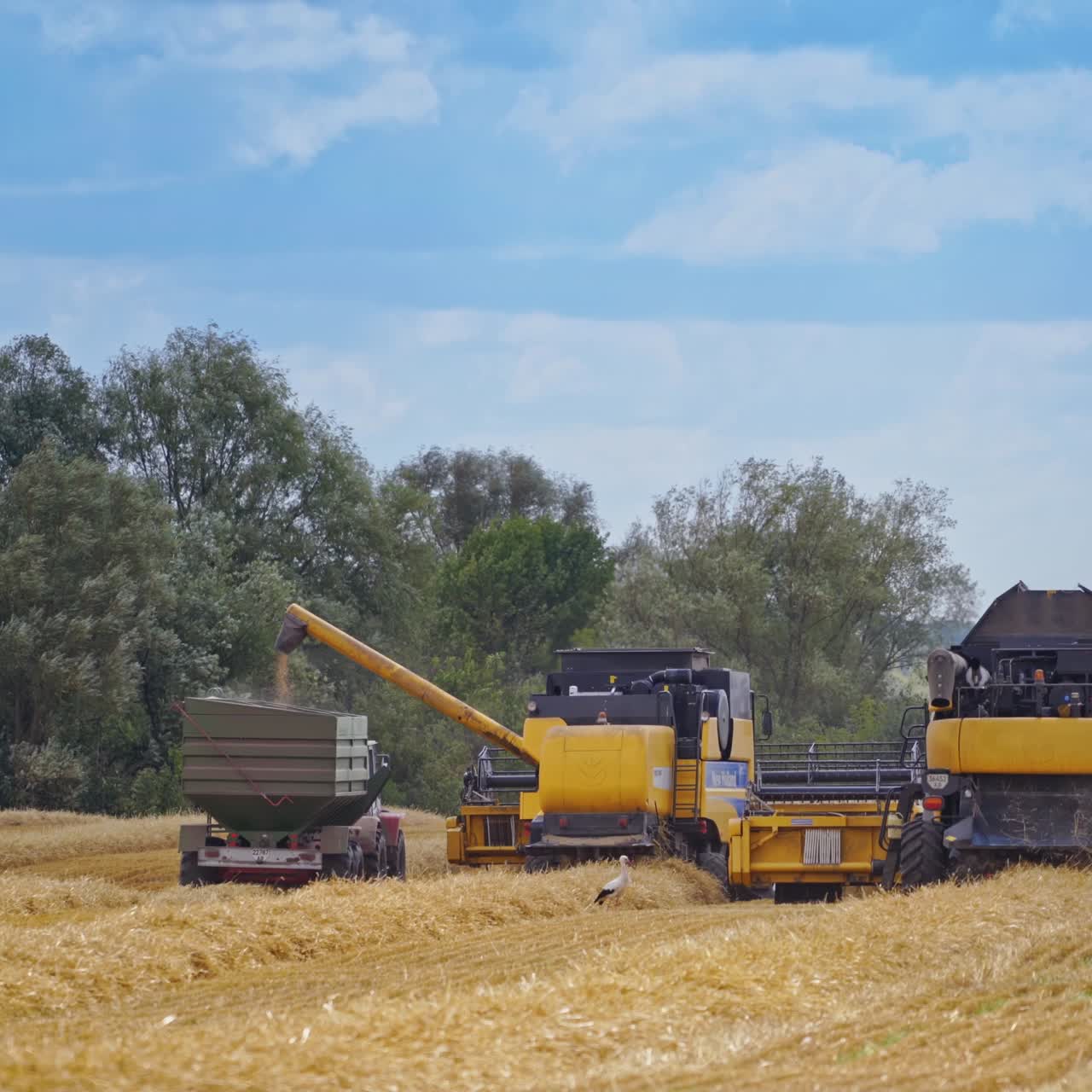 Rural farmland landscape