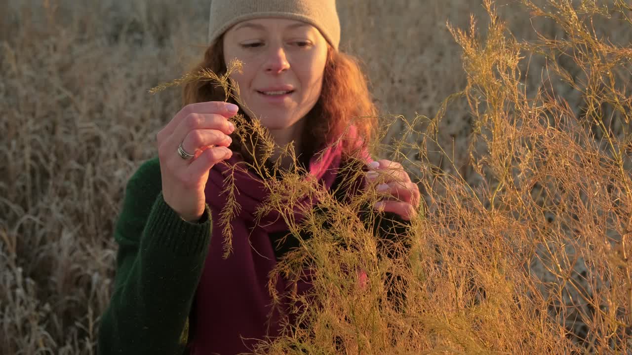 Woman enjoying nature in a field at sunset