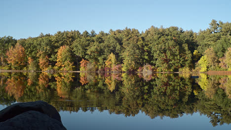 a forest reflects in a lake in early autumn as the camera slowly descends with a stone in the foreground