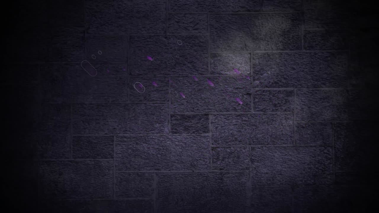 검은 바탕에 분홍색 빛의 트레일의 애니메이션