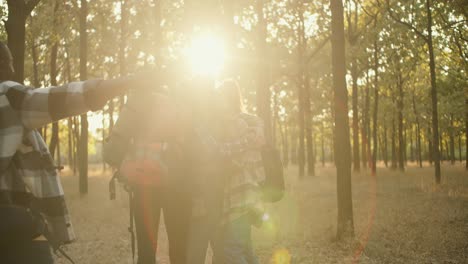 a group of happy friends on a hike run up to each other and hug, people in hiking clothes with backpacks. happy team on a hike in a sunny summer forest