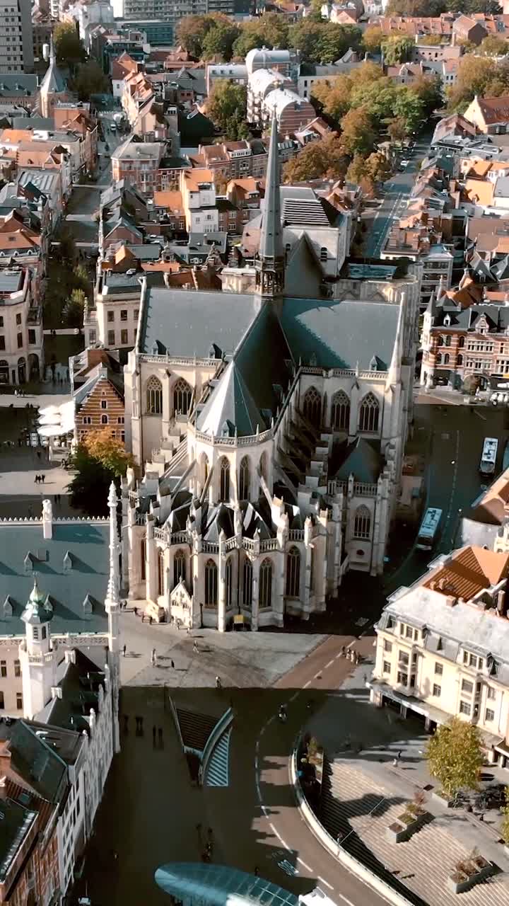 Saint Peter's Church on the Grote Markt in Leuven. Aerial vertical