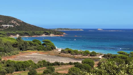 aerial panning view of famous palombaggia beach in south corsica surrounded by pine trees with turquoise and blue clear sea water in background , france