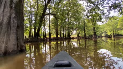 a serene, first person pov shot of an outdoorsy kayak slowly gliding over muddy water between beautiful, tall cypress trees growing in a forest with a swamp in shreveport, louisiana