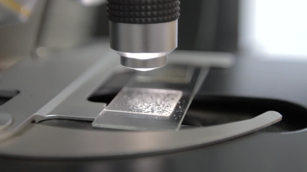 poner la diapositiva bajo el microscopio