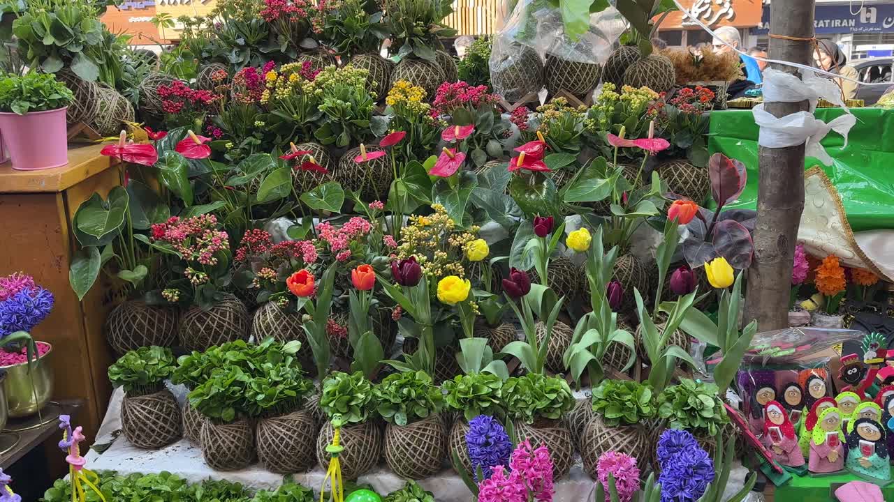 Tulip variety of colorful flower shop in Tehran Iran spring season farmers market nature scenic landscape vivid bloom bouquet floral decoration gardening green holiday romantic business selling store