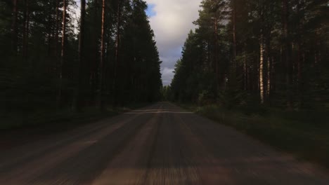 pov drive on gravel road through dense northern boreal forest trees