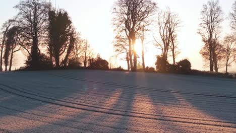 silhouette trees, frosty grass on hills at sunrise during winter in county louth, ireland. - aerial shot