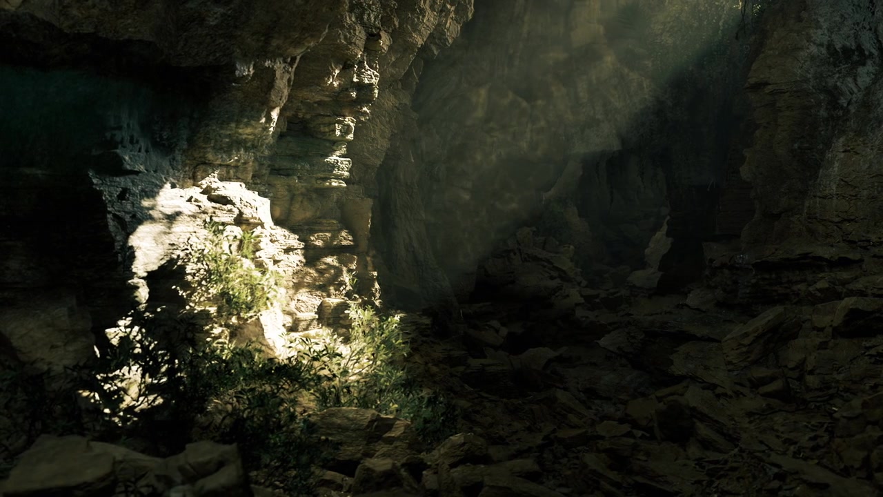 Un bagliore caldo illumina la vegetazione rigogliosa che si riversa in un interno roccioso ombreggiato