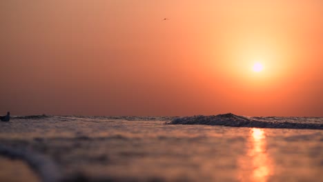 sunset over the ocean with seagulls