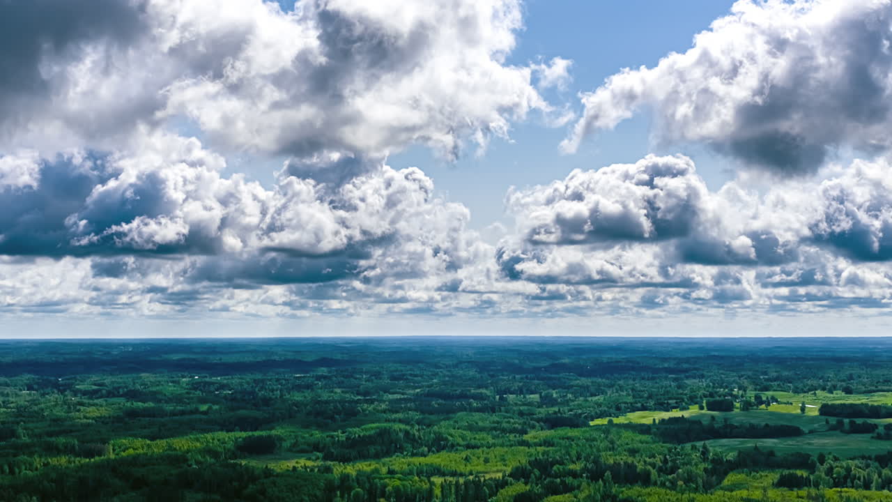Fluffy Cloud Shadows Over Dense Green Nature On A Sunny Day. Timelapse