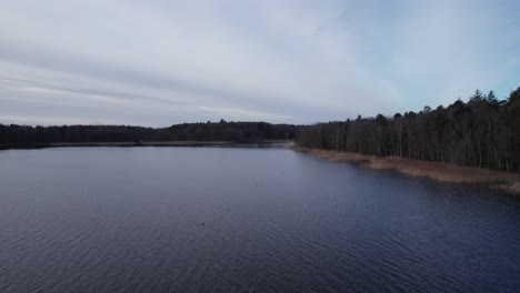 Vista-De-Drones-Del-Gran-Lago-Escandinavo,-Caña-Y-Bosque---Carro-En-Tiro