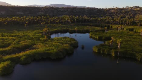 aerial: baja california sur tropical scenery in mexico, sunset remote lagoon