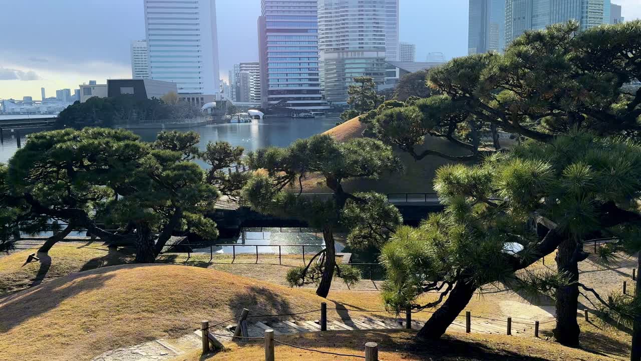 A peaceful pathway winds through Hama Rikyu Gardens with trees and serene waters