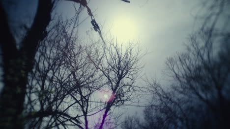 bare tree branches against a cloudy sky