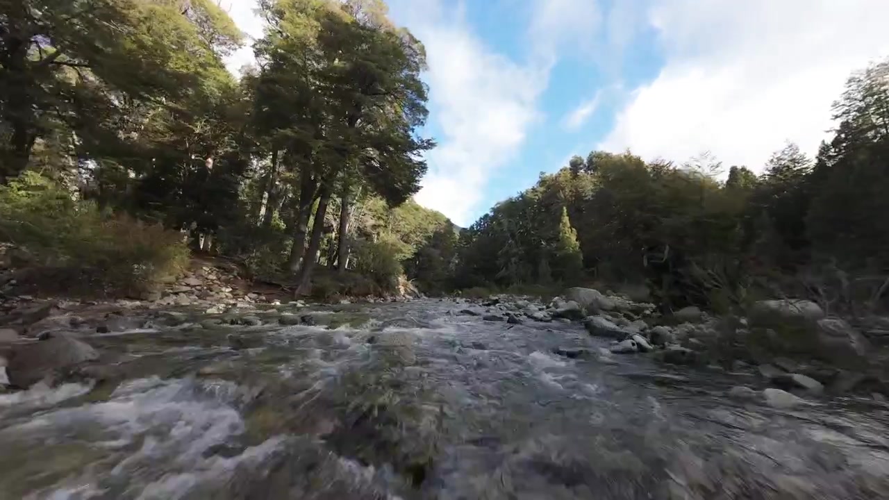 Bjergstrøm suser gennem oprindelig skov nær Villa Traful, Neuquén, Argentina, mens en FPV-drone suser lige over vandoverfladen i høj fart, FPV ultralavt fremadgående flyveskud.