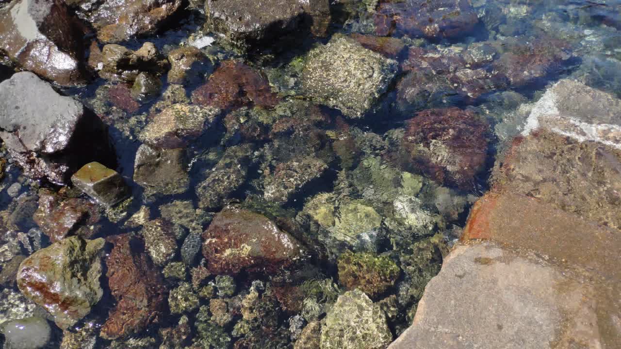 entrada a la piscina oceánica en la playa de garachico en islas canarias, españa