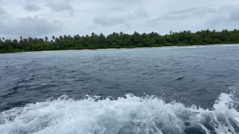 Wild-Tropical-Beach-With-Exotic-Palm-Tree-Jungle